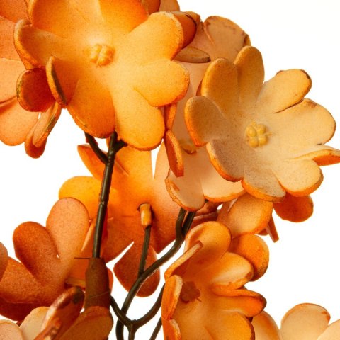 KW FLORE 755 orange orange BR