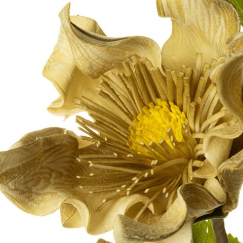 KW FLORE 759 OLI OLIW