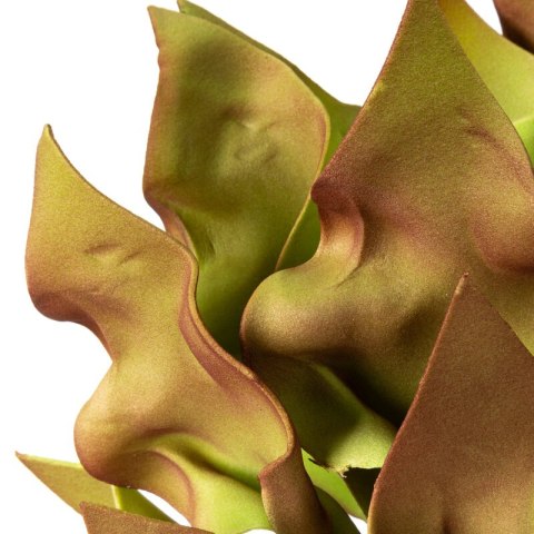 KW FLORE 776 grün grün BR