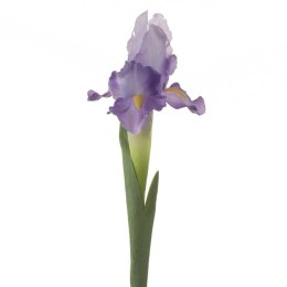 KW NATU 330 lila lila