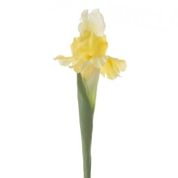 KW NATU 330 gelb gelb