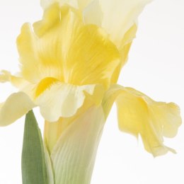 KW NATU 330 gelb gelb