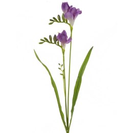 KW NATU 340 lila lila grün