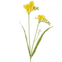 KW NATU 340 gelb gelb grün