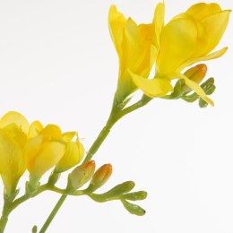 KW NATU 340 gelb gelb grün