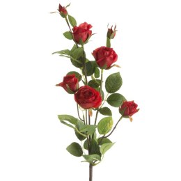 KW NATU 429 rot CZER