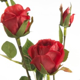 KW NATU 429 rot CZER