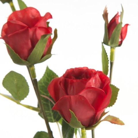 KW NATU 429 rot CZER