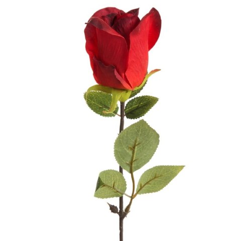 KW NATU 430 rot CZER