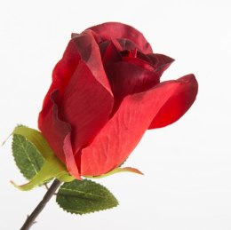 KW NATU 430 rot CZER