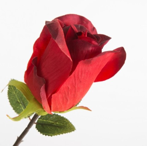 KW NATU 430 rot CZER