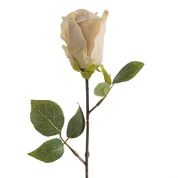 KW NATU 430 NATU NATU