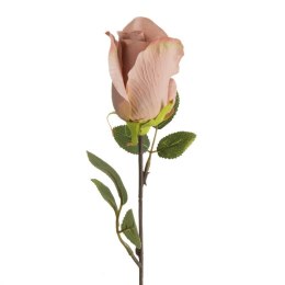 KW NATU 430 rosa rosa