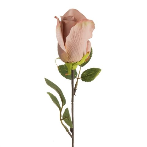 KW NATU 430 rosa rosa