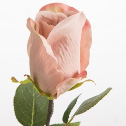 KW NATU 430 rosa rosa