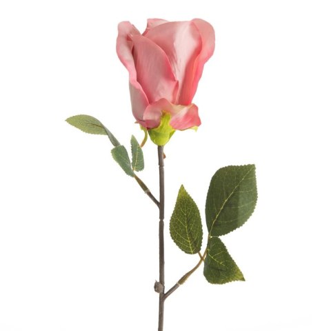 KW NATU 430 rosa rosa