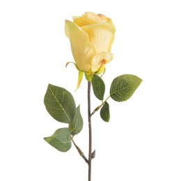 KW NATU 430 gelb gelb