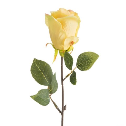 KW NATU 430 gelb gelb