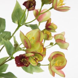 KW NATU 433 grün grün dunkelrosaO