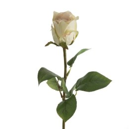 KW NATU 436 creme creme hellrosaO