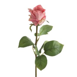 KW NATU 436 rosa rosa