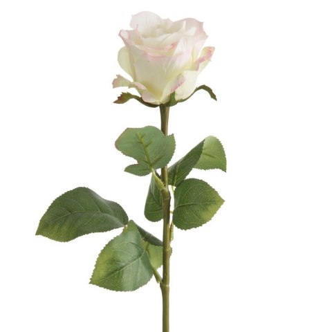 KW NATU 437 creme R creme rosaO