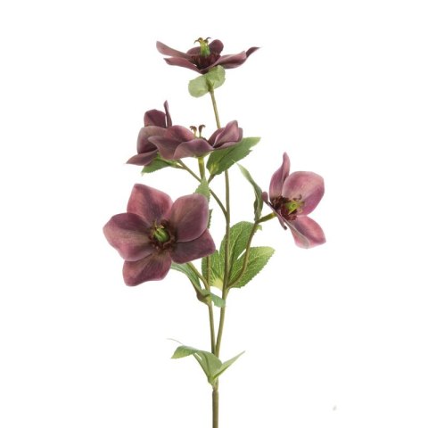 KW NATU 439 lila lila