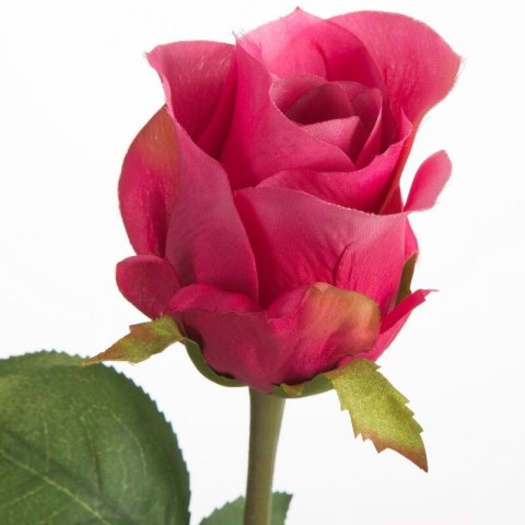 KW NATU 440 AMA AMAR