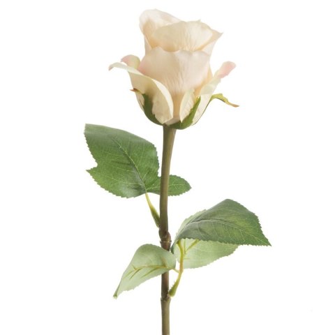 KW NATU 440 NATU NATU