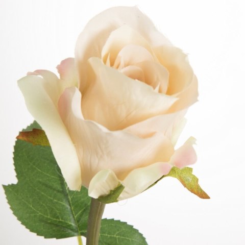 KW NATU 440 NATU NATU