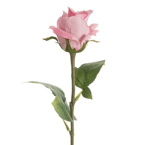 KW NATU 440 rosa rosa