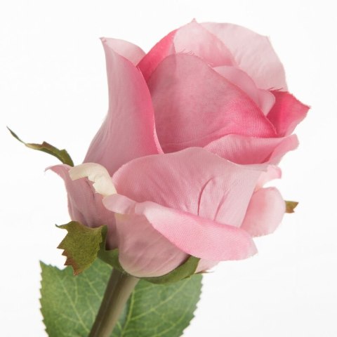 KW NATU 440 rosa rosa