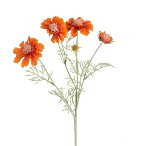 KW NATU 445 orange POMA