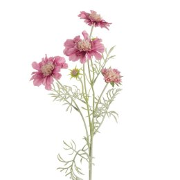 KW NATU 445 rosa rosa