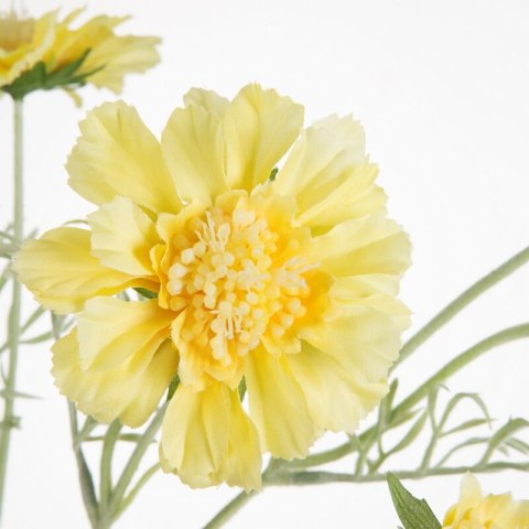 KW NATU 445 gelb gelb