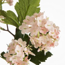 KW NATU 446 hellR hellrosaO