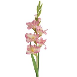 KW NATU 447 lila lila K