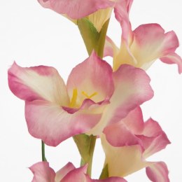 KW NATU 447 lila lila K