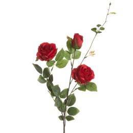 KW NATU 450 rot CZER