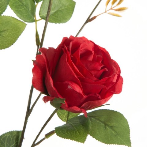 KW NATU 450 rot CZER