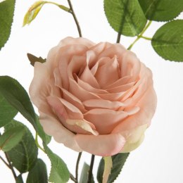 KW NATU 450 rosa rosa