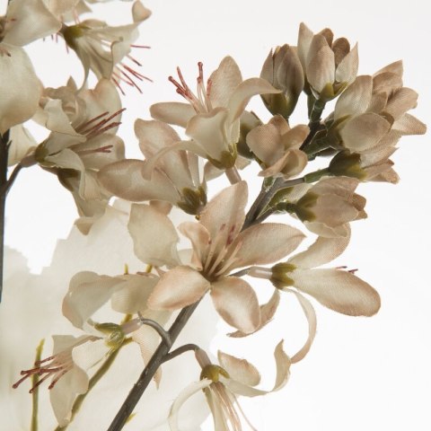 KW NATU 451 beige beige B