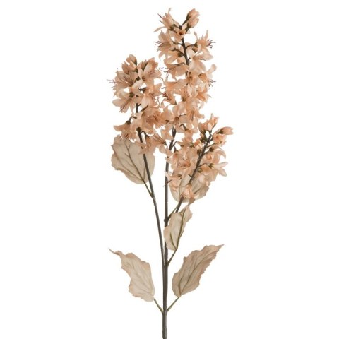 KW NATU 451 hellR hellrosaO