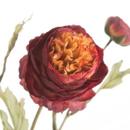 KW NATU 452 BOR BORD POMA