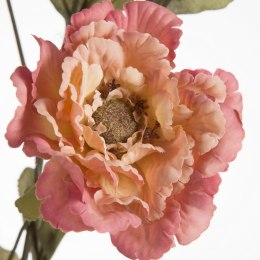 KW NATU 454 rosa rosa