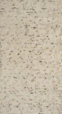 Vorhang TAMI beige 140X250 Ösen