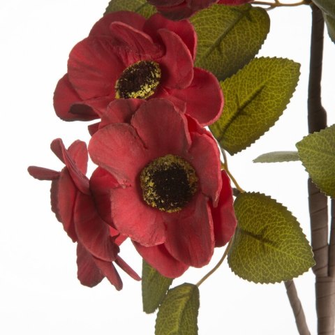 KW FLORE 746 CZE CZER