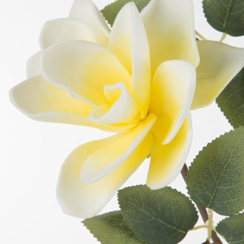 KW FLORE 752 gelb gelb