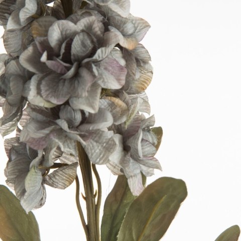 KW NATU 413 POPI POPI