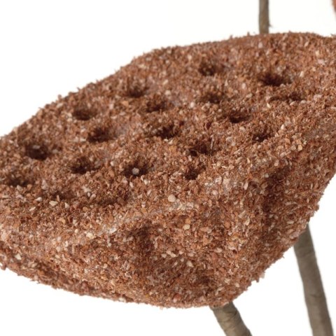 KW NATU 419 CEG orange